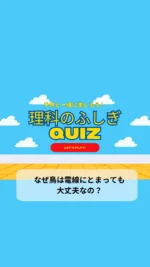 ＼子供と一緒に楽しむ理科のふしぎクイズ／

今日のクイズは

「なぜ鳥は電線にとまっても大丈夫なの？」

電線に横並びでとまっている鳥たちをよく見かけるけどなんで電線なのに休憩してて大丈夫なのか不思議だよね🤔
子供の好奇心を育てる一つのきっかけになりますように♡

毎日子供と一緒に楽しめるクイズを朝投稿しています！
気になる方はフォローお願いします❤️

疑問・質問・感想など
コメントやDMいただけると嬉しいです♡

~~~~~~~~~~~~~~~~~~~~~~~~~~~~~~~~~~ 

3人のワーママ（小2、年少、0歳児）が
コスパよく、時間をかけずに
子供達が楽しく勉強やいろいろな体験をして、
ワクワクする生活が出来るように試行錯誤中🙋‍♀️
子供と朝楽しめるクイズを発信中✨

#クイズ #小学生クイズ #小学生向けクイズ #毎日クイズ #小学生 #理科の不思議クイズ #小学生の勉強 #朝クイズ #子供と一緒に #子供と一緒に楽しむ #