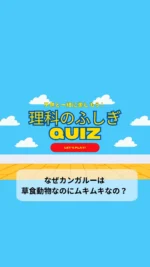＼子供と一緒に楽しむ理科のふしぎクイズ／

今日のクイズは

「なぜカンガルーは草食動物なのにムキムキなの？」

ボクシングが得意なイメージのカンガルー🦘
そもそもなんであんなにムキムキなんだろう🤔
筋肉に注目したカンガルーのことみると面白くて興味が湧いてくるよね。
子供の好奇心を育てる一つのきっかけになりますように♡

毎日子供と一緒に楽しめるクイズを朝投稿しています！
気になる方はフォローお願いします❤️

疑問・質問・感想など
コメントやDMいただけると嬉しいです♡

~~~~~~~~~~~~~~~~~~~~~~~~~~~~~~~~~~ 

3人のワーママ（小2、年少、0歳児）が
コスパよく、時間をかけずに
子供達が楽しく勉強やいろいろな体験をして、
ワクワクする生活が出来るように試行錯誤中🙋‍♀️
子供と朝楽しめるクイズを発信中✨

#毎日クイズ #クイズ #小学生 #小学生の勉強 #小学生向けクイズ #朝クイズ #子供と一緒に #子供と楽しむ